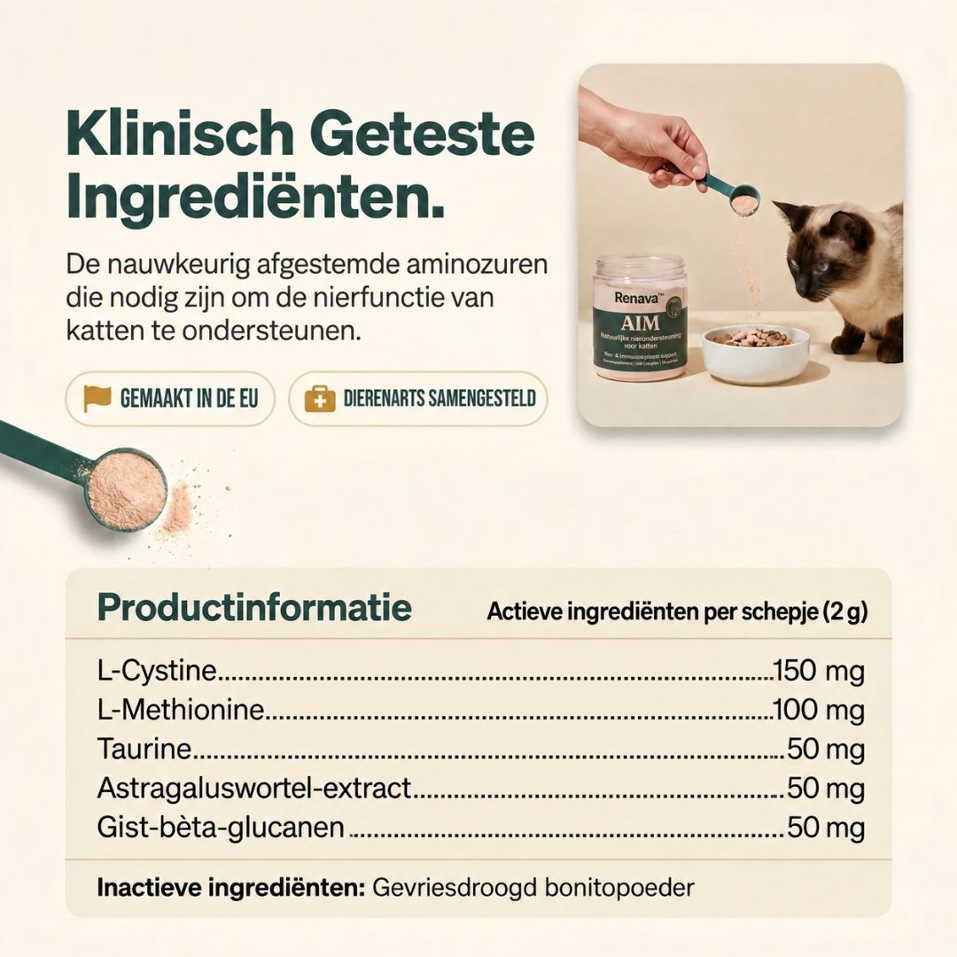 Renava™ | Nierondersteuning voor Katten