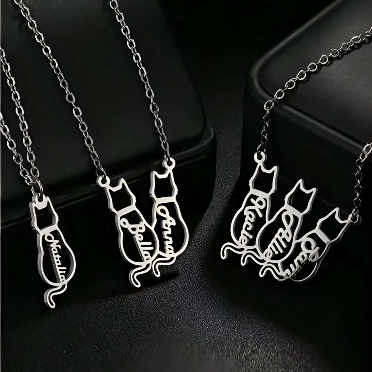 Amichat™ | Collier pour Animal de Compagnie