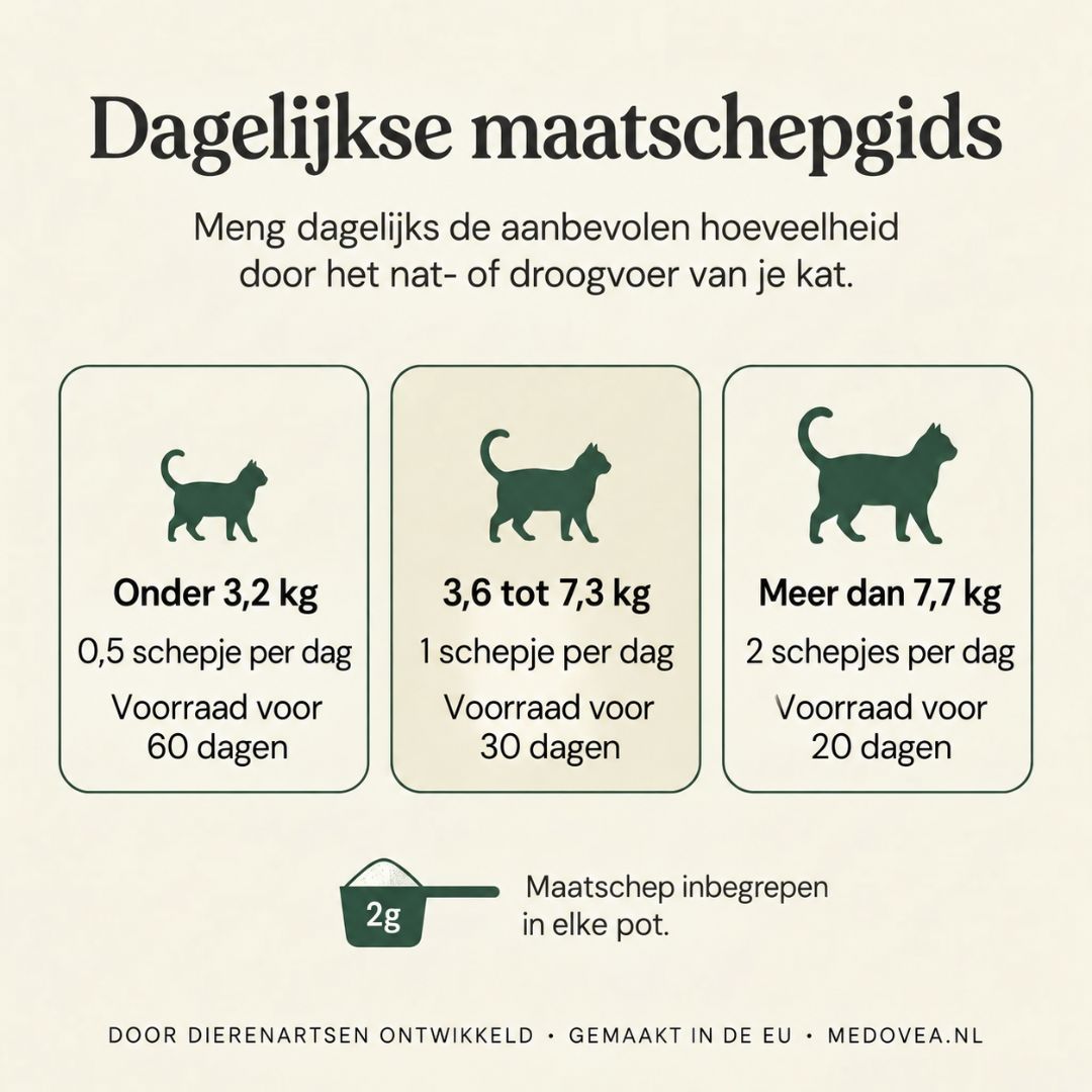 Renava™ | Nierondersteuning voor Katten
