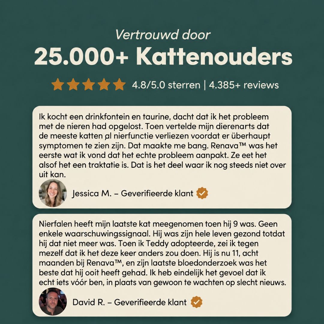 Renava™ | Nierondersteuning voor Katten