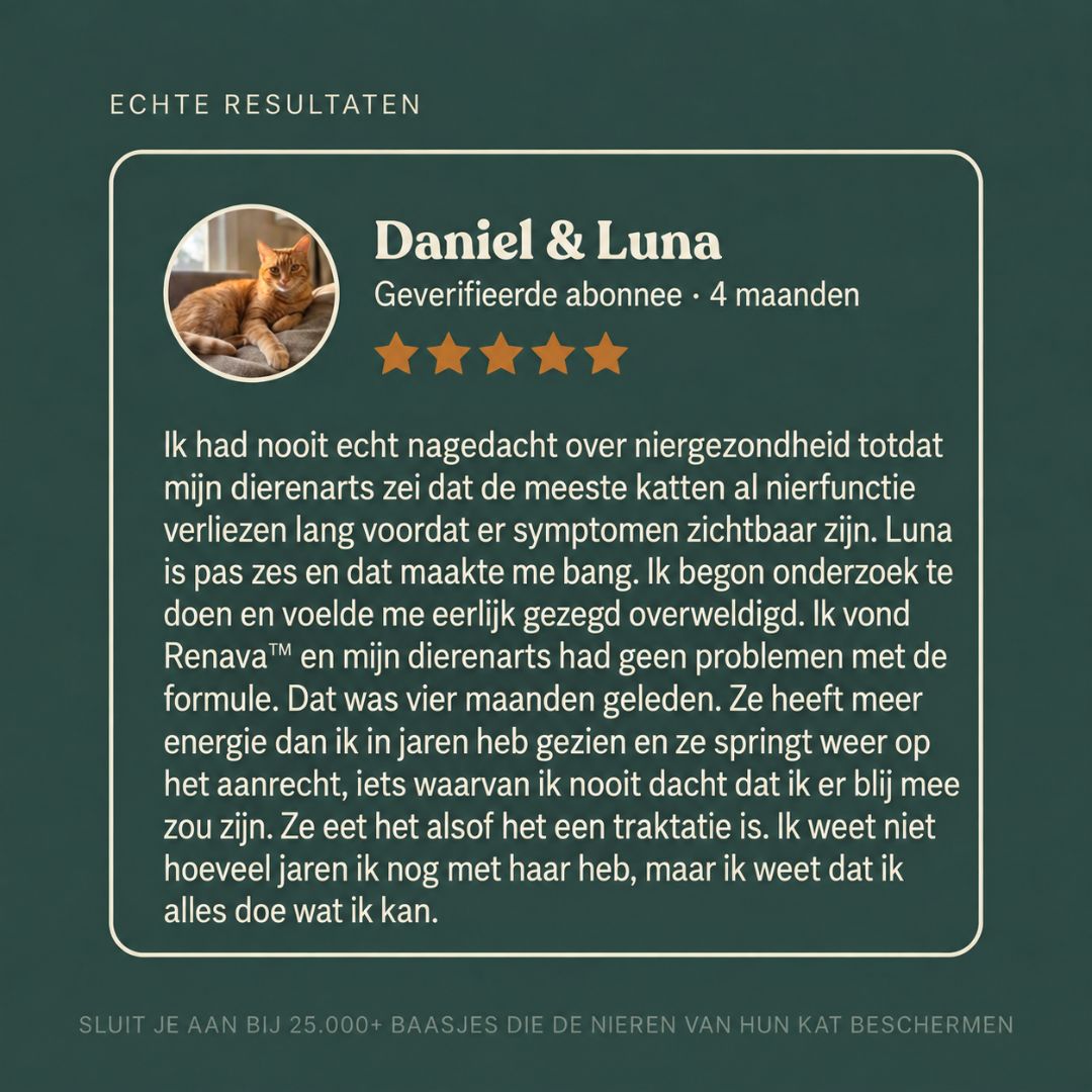 Renava™ | Nierondersteuning voor Katten