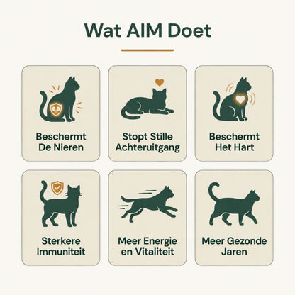 Renava™ | Nierondersteuning voor Katten